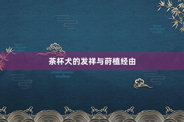 茶杯犬的发祥与莳植经由