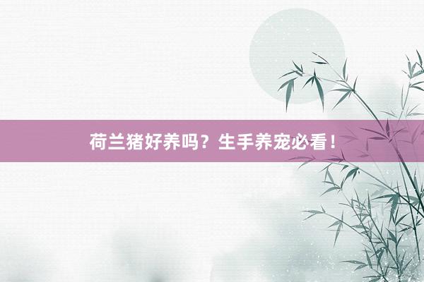 荷兰猪好养吗？生手养宠必看！